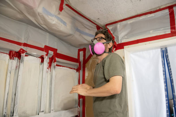 San Anselmo, CA Mold Removal Company