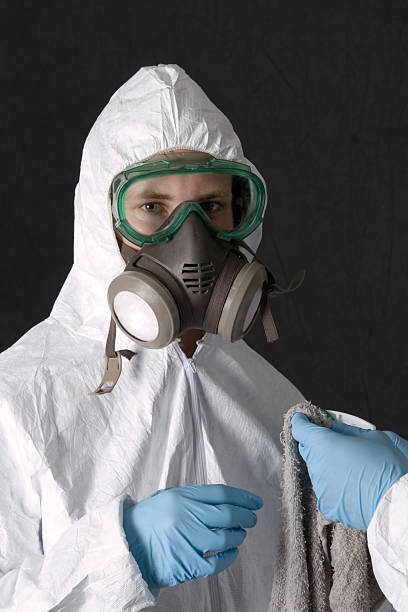  San Anselmo, CA Mold Removal Pros
